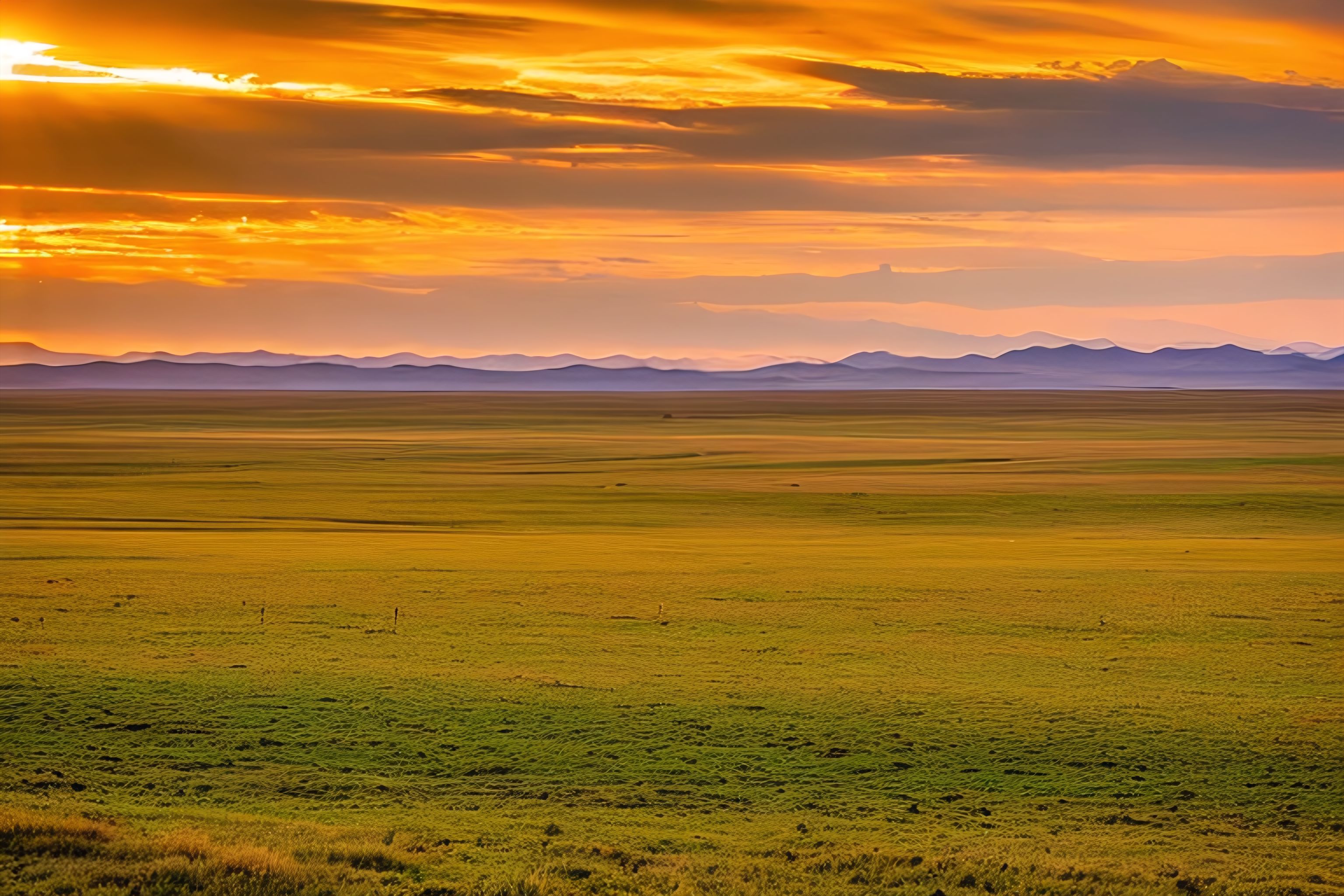 A vast Mongolian grassland landscape