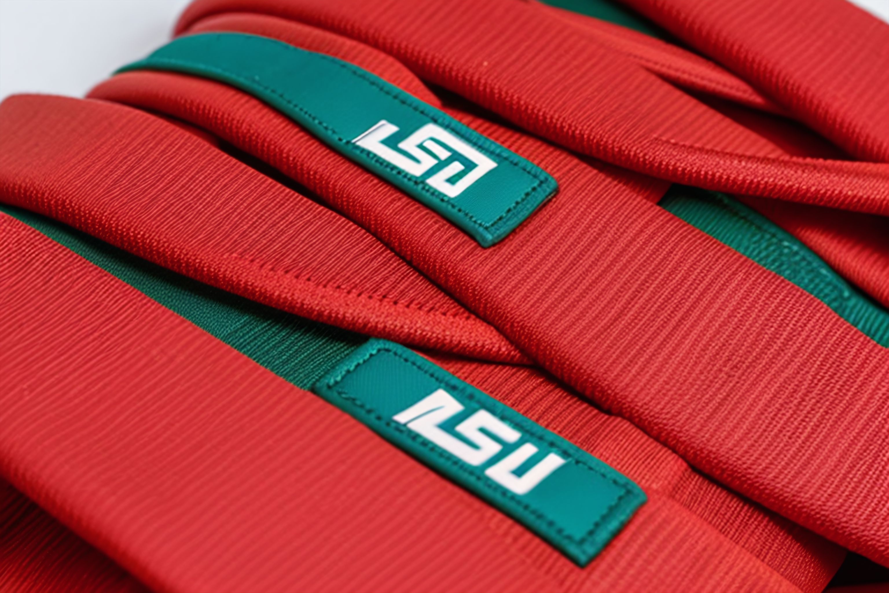 A close-up of a BJJ belt.